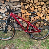 Mountain bike dirt enduro