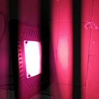 lampada led crescita piante 