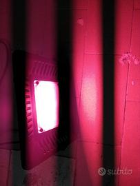 lampada led crescita piante 