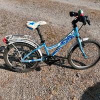 Bicicletta Bambina 5-8 anni