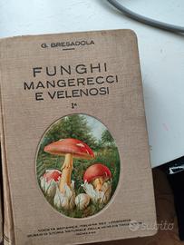 Libri dei funghi anni 30