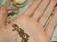 Immagine 2