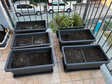 6x Fioriera Veca Anthea 60cm con sottovaso
