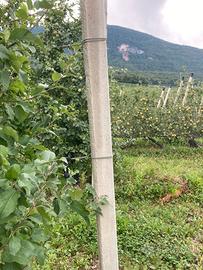 Pali in cemento