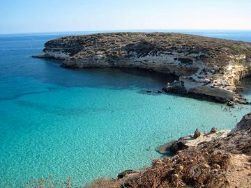 Ultime disponibilità Agosto 2025 Lampedusa