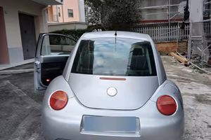 Maggiolone 1000€