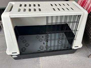 Kennel