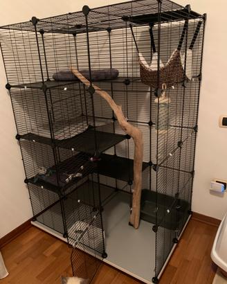 Condominio per gatti / altri