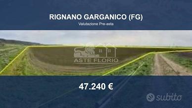 Immobile in asta di 31670 m² a Rignano Garganico