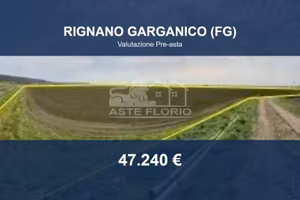 Immobile in asta di 31670 m² a Rignano Garganico
