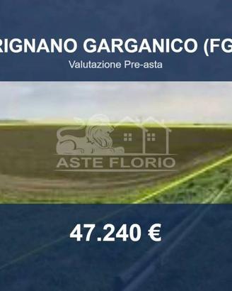Immobile in asta di 31670 m² a Rignano Garganico