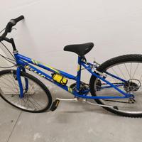 bicicletta 