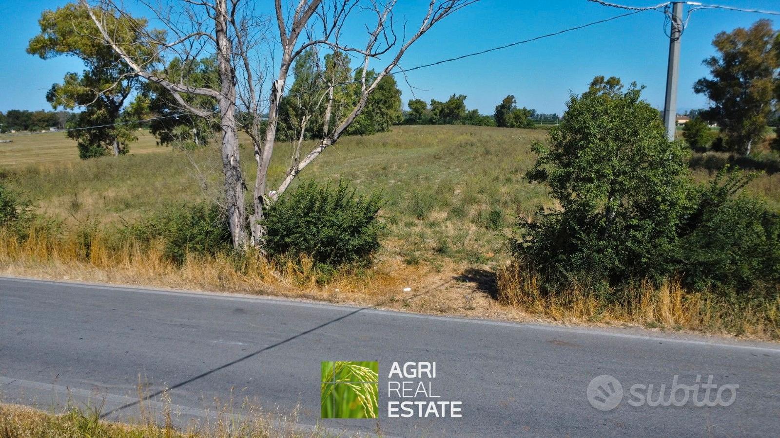 Terreno agricolo 2 ettari fronte strada - Altro