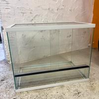 Teca per rettili