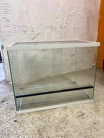 Teca per rettili