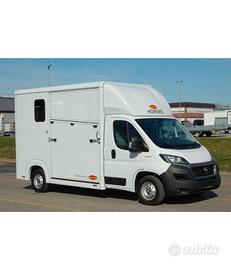 CAMIONCINO VAN TRASPORTO CAVALLI