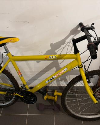 mountain bike