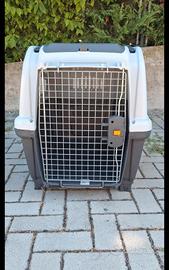 kennel 
