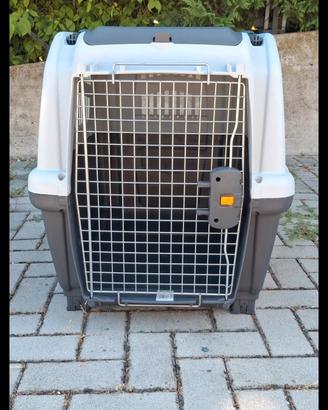 kennel 