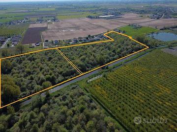 RGE 7/2019 Tribunale Verona - Lotto 1)