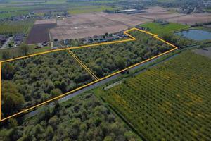 RGE 7/2019 Tribunale Verona - Lotto 1)