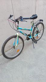 Bici da uomo/ragazzo