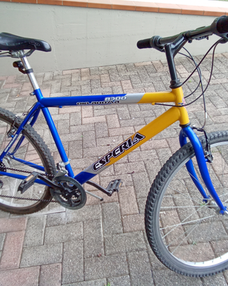 Bicicletta mtb