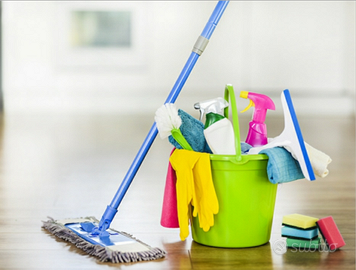 Collaboratrice domestica (Colf)