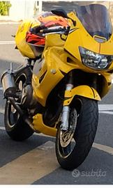 Honda VTR 1000 - 2006