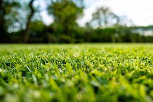 TER. RESIDENZIALE A MONASTIER DI TREVISO