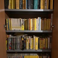 Lotto collezione Libri genere “Giallo- Thriller”
