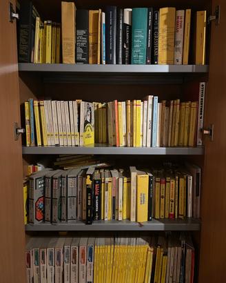 Lotto collezione Libri genere “Giallo- Thriller”