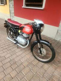 bianchi mendola conservata