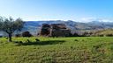 casale-rustico-massignano