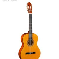 Chitarra Toledo CG49-NT