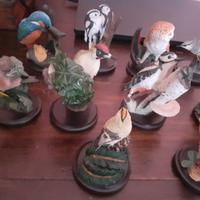 THE COUNTRY BIRD COLLECTION - COLLEZIONE UCCELLINI