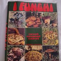 i funghi