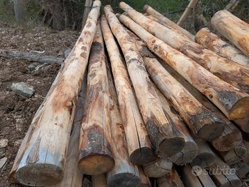 pali in legno di castagno robusti