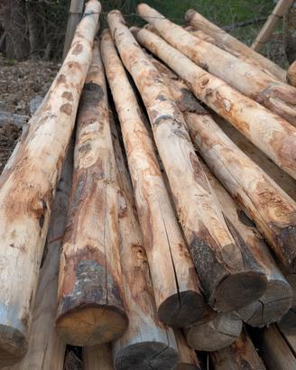 pali in legno di castagno robusti