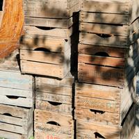 Cassette in legno da 1,5 a 3 €