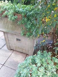 Cuccia cane in cemento