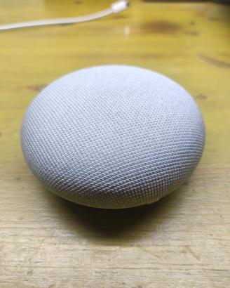 Google home mini.