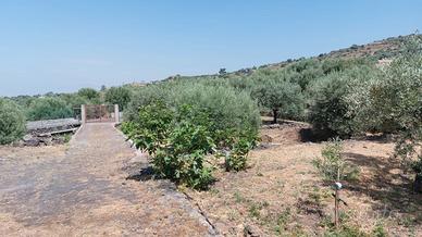 Terreno con fabbricato