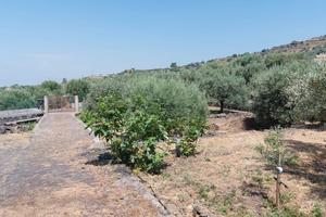 Terreno con fabbricato