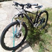 MTB in carbonio