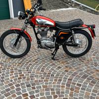 Ducati scrambler