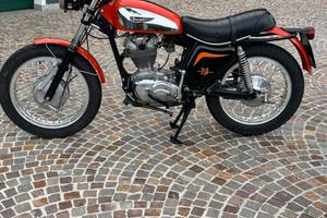 Ducati scrambler