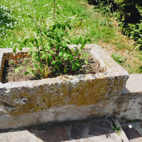 Vaso antico in pietra