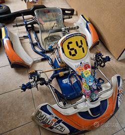 Telaio Kart kz Birel Monza 