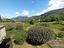 Immagine 24